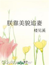 朕靠美貌追妻图片