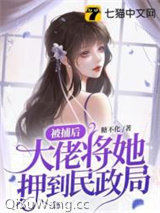 《被捕后，大佬将她押到民政局》全本TXT下载-作者：糖不化