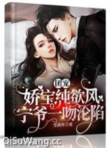 团宠娇宝纯欲风，宁爷一吻沦陷图片