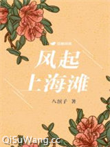 《风起上海滩》全本TXT下载-作者：八溟子