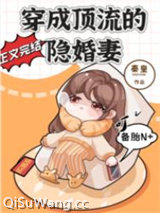 《穿成顶流的隐婚妻》全本TXT下载-作者：秦皇
