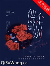 《他不曾告别》全本TXT下载-作者：有厌