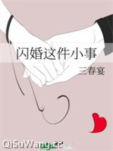闪婚这件小事图片