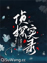 《侦探实录》全本TXT下载-作者：老8