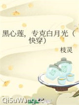 《黑心莲，专克白月光（快穿）》全本TXT下载-作者：枝灵
