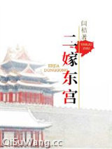 《二嫁东宫》全本TXT下载-作者：闫桔