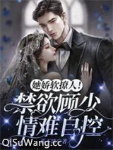《她娇软撩人！禁欲顾少情难自控》全本TXT下载-作者：花不语