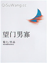 《望门男寡》全本TXT下载-作者：蜀七