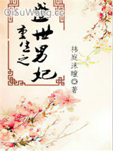 重生之盛世男妃图片