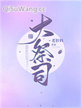 《大祭司》全本TXT下载-作者：老肝妈