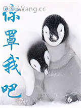 《你罩我吧》全本TXT下载-作者：满子