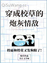 穿成校草的炮灰情敌图片