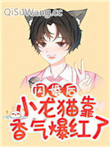 《闪婚后小龙猫靠香气爆红了》全本TXT下载-作者：金玉其内