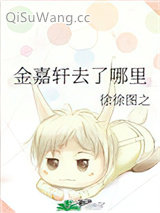 《金嘉轩去了哪里》全本TXT下载-作者：徐徐图之