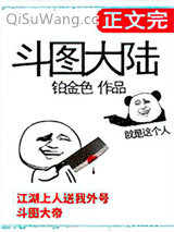 《斗图大陆》全本TXT下载-作者：铂金色