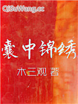 《囊中锦绣》全本TXT下载-作者：木三观