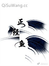 《正经鱼在线破案》全本TXT下载-作者：荣小轩