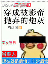 《穿成被影帝抛弃的炮灰》全本TXT下载-作者：有点困