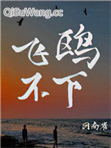 《飞鸥不下》全本TXT下载-作者：回南雀