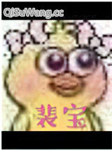 《裴宝》全本TXT下载-作者：池总渣