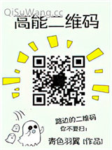 《高能二维码》全本TXT下载-作者：青色羽翼