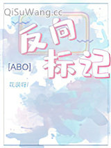 反向标记abo图片