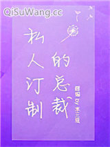 《私人订制的总裁》全本TXT下载-作者：木三观