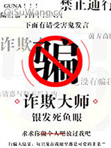 《诈欺大师》全本TXT下载-作者：银发死鱼眼
