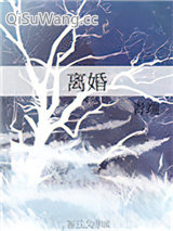 《离婚（离婚ABO）》全本TXT下载-作者：青端