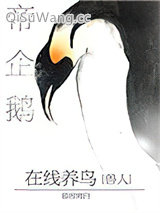 《帝企鹅在线养鸟》全本TXT下载-作者：慕容离白
