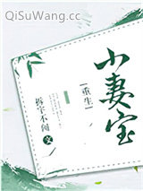 《小妻宝[重生]》全本TXT下载-作者：拆字不闻