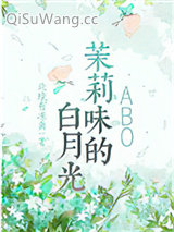 《茉莉味的白月光》全本TXT下载-作者：北境有冻离