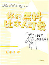 《你的黑料比本人可爱》全本TXT下载-作者：毛球球