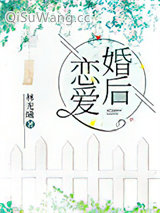 《婚后恋爱》全本TXT下载-作者：林光曦