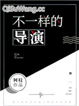 《不一样的导演[娱乐圈]》全本TXT下载-作者：何枝