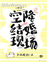 《空降结婚现场[快穿]》全本TXT下载-作者：少说废话