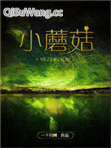 小蘑菇图片