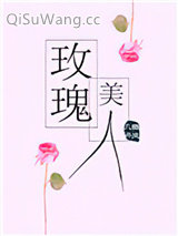 《玫瑰美人》全本TXT下载-作者：微风几许