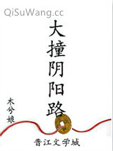 《大撞阴阳路》全本TXT下载-作者：木兮娘