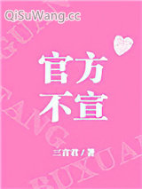 《官方不宣[娱乐圈]》全本TXT下载-作者：三言君