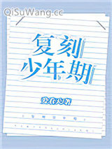 《复刻少年期[重生]》全本TXT下载-作者：爱看天