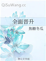 《全面晋升》全本TXT下载-作者：焦糖冬瓜