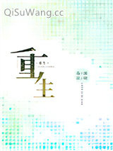《重生》全本TXT下载-作者：春溪笛晓