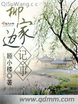 《柳家边记事》全本TXT下载-作者：顾小楼