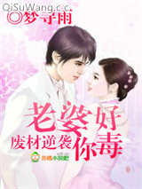 《废材逆袭，老婆，你好毒》全本TXT下载-作者：梦寻雨