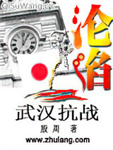 《沦陷之武汉抗战》全本TXT下载-作者：殷周