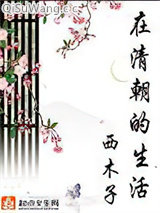 在清朝的生活图片