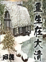 《重生在大清》全本TXT下载-作者：阿袭