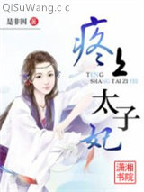 《疼上太子妃》全本TXT下载-作者：是非因