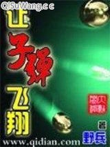 《让子弹飞翔》全本TXT下载-作者：野兵